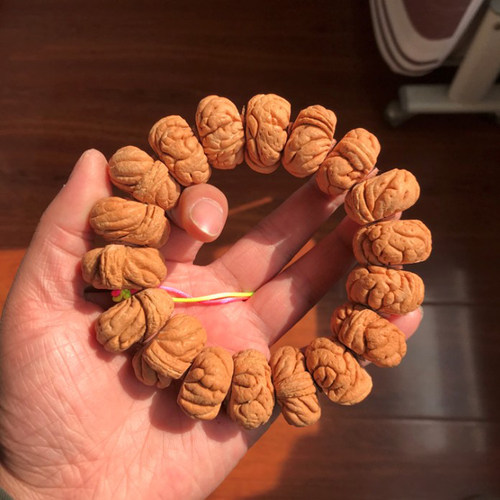 文玩核桃26mm霸王龙手串