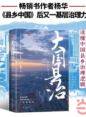 当当网 大国县治（杨华继《县乡中国》后又一基层治理力作）基层工作考核 激励基层干部 构建高效简约的县域治理体制 东方出版社