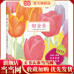 郁金香 布拉迪斯拉发国际插画双年展 BIB 金苹果奖得主荒井真纪新作 精
