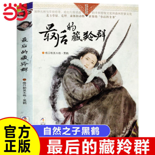 最后的藏羚群自然之子黑鹤