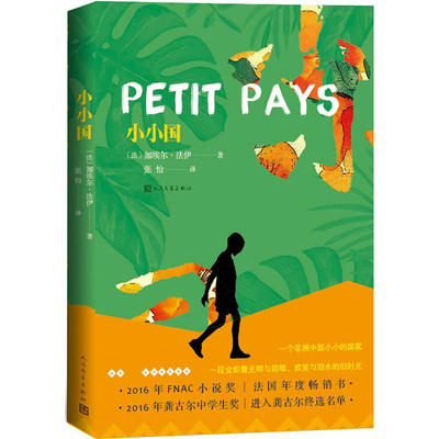 当当网 小小国（2016年龚古尔中学生奖） （童年，带给我们无尽的温柔和挥之不 加埃尔?法伊 人民文学出版社 正版书籍