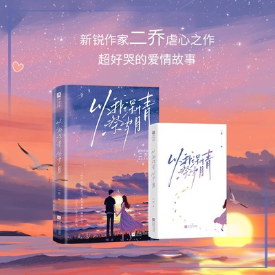 当当网 以我深情祭岁月 新锐作家二乔人气意难平之作 沈念×陆凌川 后来大雾四起 你说你很爱我可我看不清 青春文学言情小说正版书