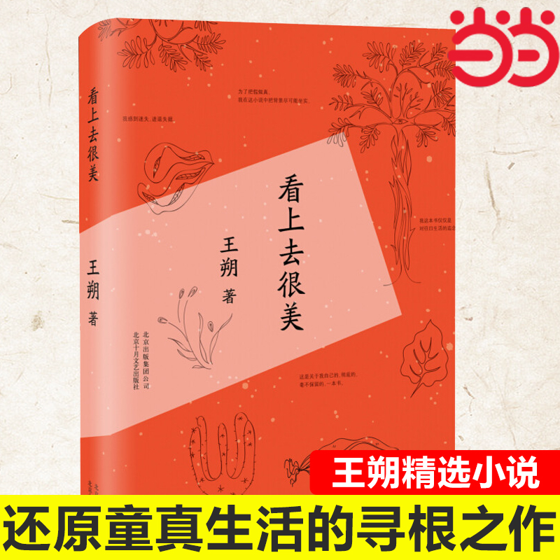 当当网 看上去很美 王朔著 情感小说中国现当代文学经典文学小说 现当代文学书籍畅销书排行榜 书籍/杂志/报纸 现代/当代文学 原图主图