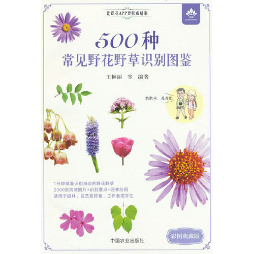 500种常见野花野草识别图鉴（彩图典藏版）