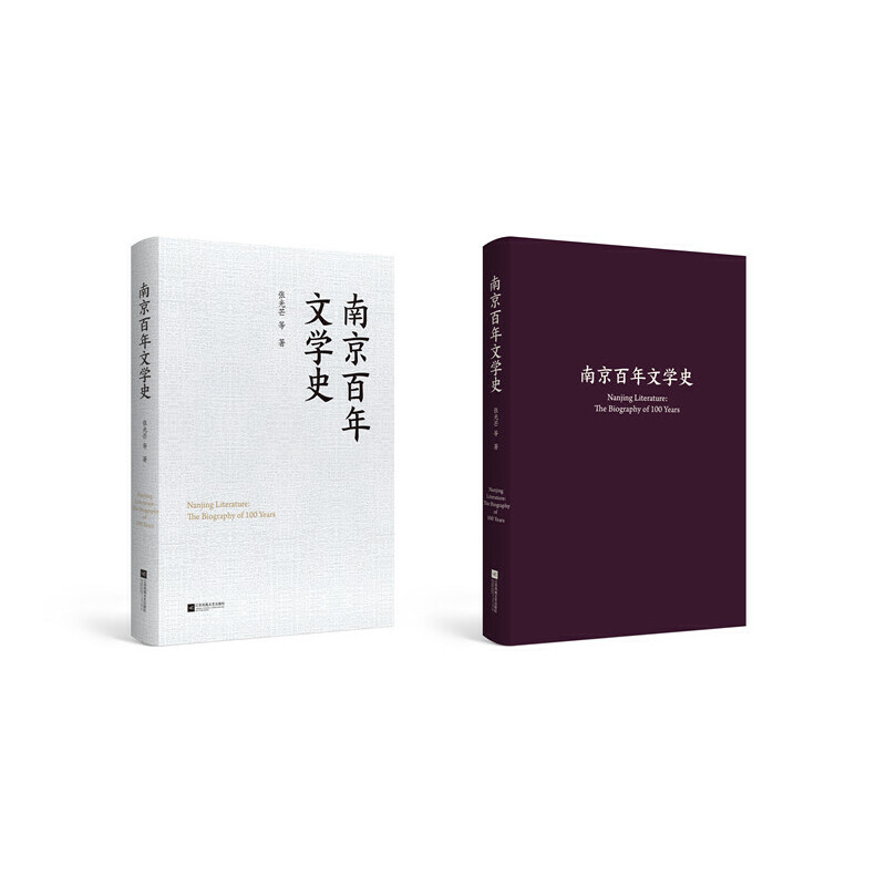 当当网 南京百年文学史 张光芒 江苏凤凰文艺出版社 正版书籍