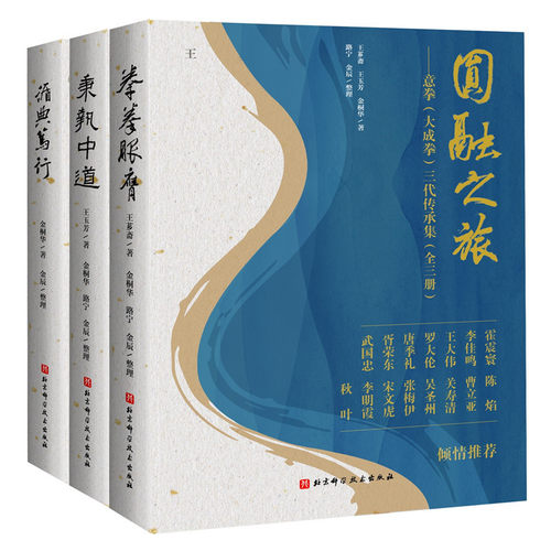 （刷边特装版）圆融之旅――意拳（大成拳）三代传承集（全三册）