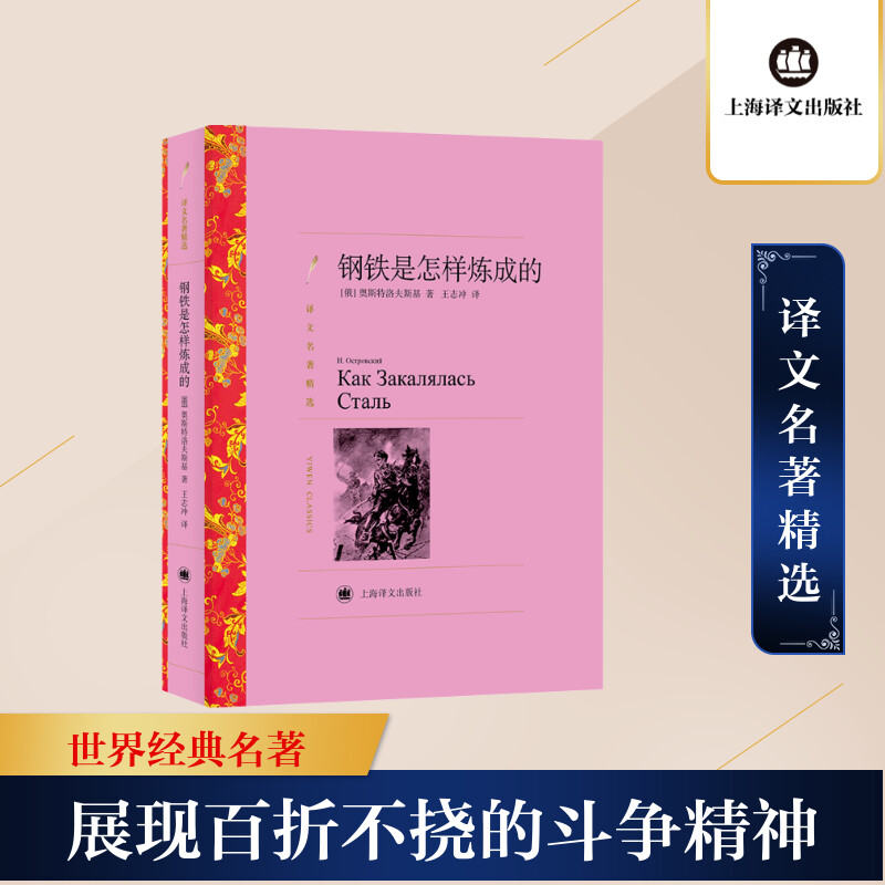 【当当网】钢铁是怎样炼成的 [俄]奥斯特洛夫斯基 著 王志冲 译 中学生书目 人的一生应该这样度过 上海译文出版社 正版书籍