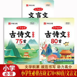 全套3册小学古诗文75+80首+小学文言文练字帖 小学生古诗词练字帖同步字帖练字人教版每日一练硬笔书法纸专用一年级二年级三四五