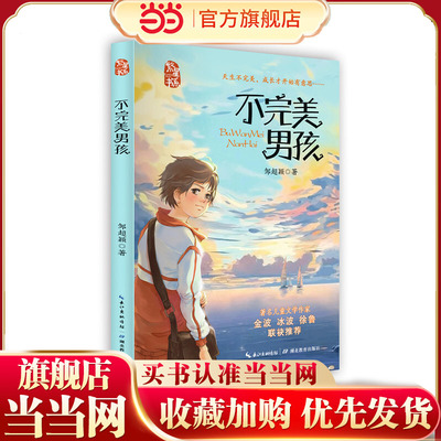 不完美男孩（冰心儿童文学奖、屈原文艺奖得主邹超颖新作，守护儿童纯真，探寻成长力量）[8-12岁]