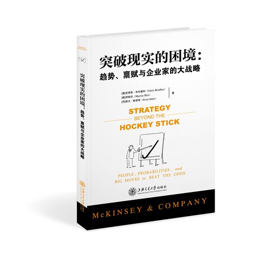 当当网 突破现实的困境：趋势、禀赋与企业家的大战 克里斯·布拉德利;贺睦廷;斯文·斯密特 上海交通大学出版社 正版书籍