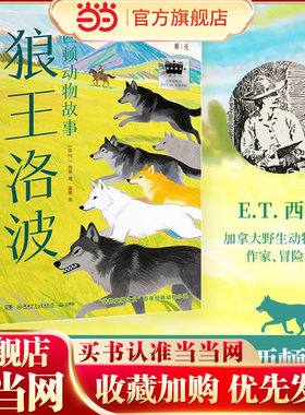 狼王洛波2025年暑期百班千人
