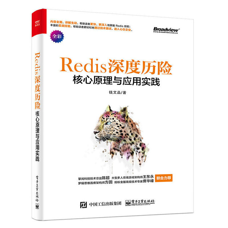 当当网 Redis 深度历险：核心原理与应用实践 钱文品 电子工业出版社 正版书籍怎么看?