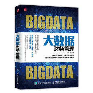 当当网 大数据财务管理 张奇 人民邮电出版社 正版书籍