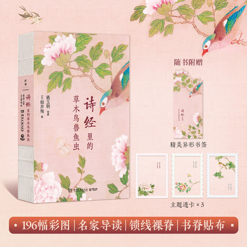 当当网 诗经里的草木鸟兽鱼虫 复旦大学骆玉明教授倾情导读 收录《诗经》名物研究大家细井徇196幅珍贵彩绘手稿 文学随笔正版畅销