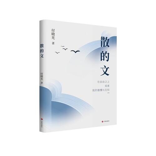 散的文 付晓光