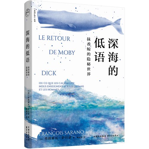 深海的低语：抹香鲸的隐秘世界