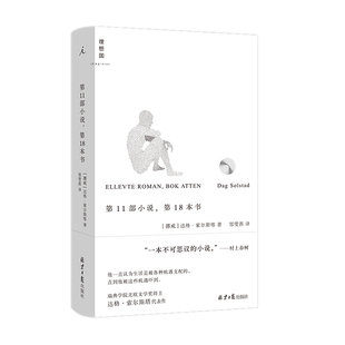 当当网 第11部小说，第18本书 达格·索尔斯塔 理想国 北京日报出版社 正版书籍