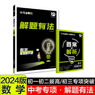 2024中考必刷题 重难题突破 数学 解题有法