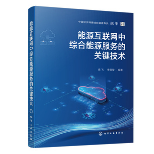 当当网 能源互联网中综合能源服务的关键技术 袁飞 化学工业出版社 正版书籍