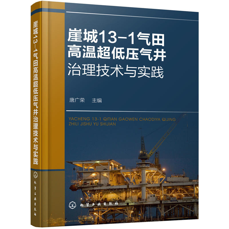 当当网 崖城13-1气田高温超低压气井治理技术与实践 唐广荣 化学工业出版社 正版书籍