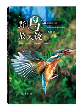 当当网 野鸟放大镜食衣篇(自然观察丛书) 许晋荣 著 商务印书馆 正版书籍