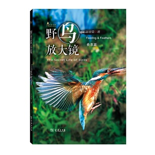 当当网 野鸟放大镜食衣篇(自然观察丛书) 许晋荣 著 商务印书馆 正版书籍