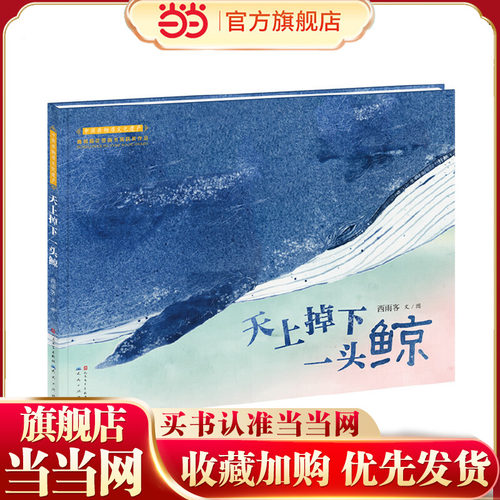 天上掉下一头鲸