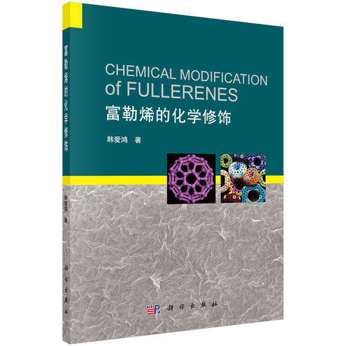富勒烯的化学修饰（Chemical Modification of fullerenes）（英文版）