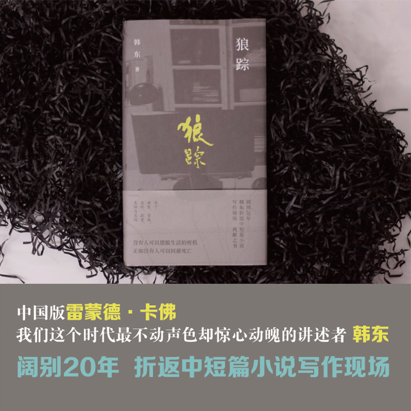 （精装）狼踪(鲁迅文学奖得主韩东中短篇小说选集)怎么看?