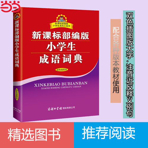 配合教材 小学生成语词典 部编版工具书