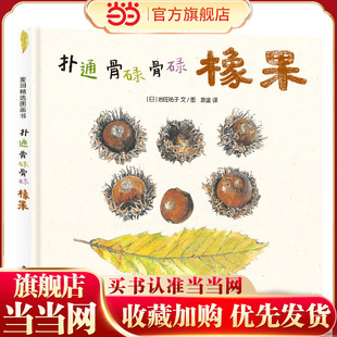 麦田精选图画书 扑通 骨碌骨碌 橡果