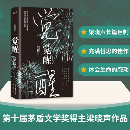 当当网 觉醒（第十届茅盾文学奖、热映电视剧《人世间》原著作者梁晓声作品）精装版