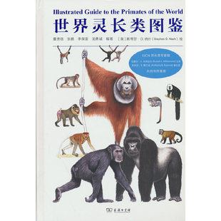 世界灵长类图鉴