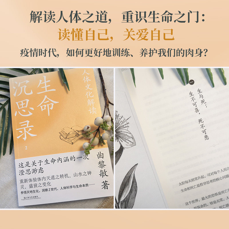生命沉思录2:人体文化解读 当当定制印签版
