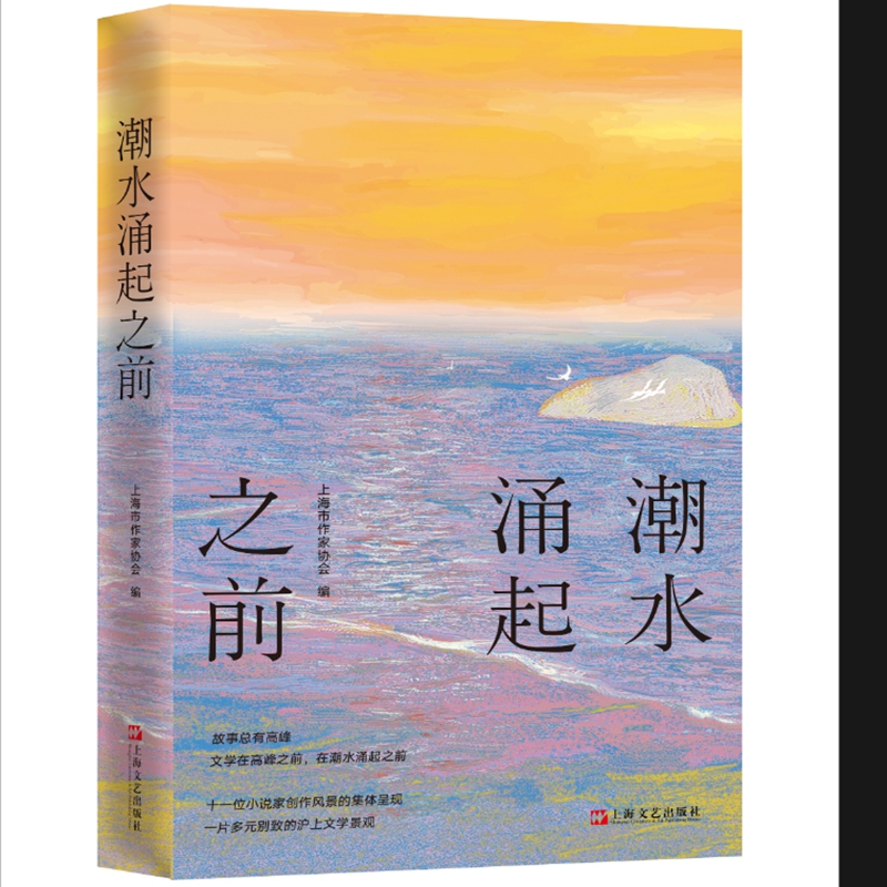 潮水涌起之前（11篇小说，11次与世界的温柔对峙，三代上海作家，写尽人生的悬而未决，文学不是答案，而是潮水涌起之前的动人心