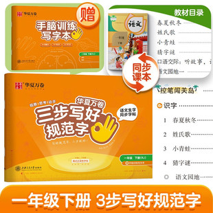 【三步写好规范字】2024春华夏万卷字帖一年级下册语文同步练字帖小学生语文生字描红本笔画笔顺儿童正楷书法字帖 配手脑训练写字