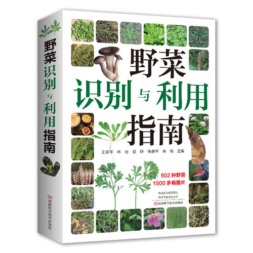 当当网 野菜识别与利用指南 王亚平 林祁 常见野菜野果野外识别速查图鉴植物分类生长习性野菜野果的食用方法野果识别与利用指南