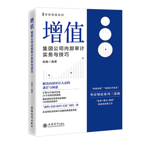 增值：集团公司内部审计实务与技巧