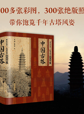 当当网正版 有生之年一定要看的1001座中国古塔 追溯2300年塔的历史 960页大部头 1700张高清彩图 300多张绝版照片 210张航拍照片
