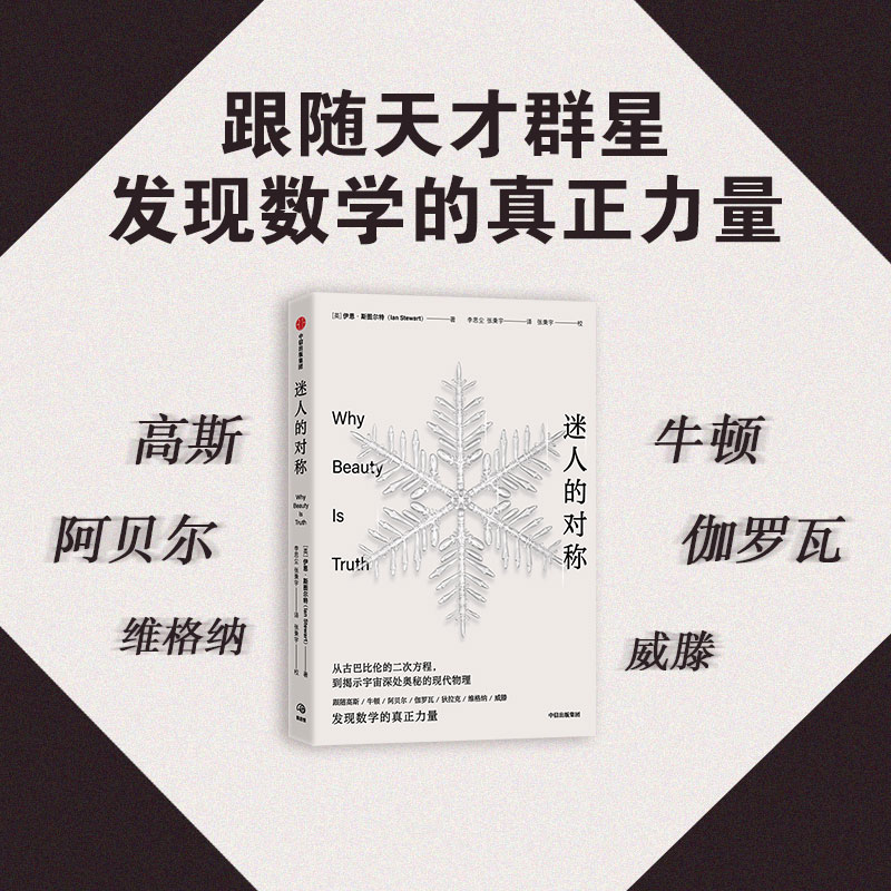 迷人的对称 从古巴比伦的二次方程 到揭示宇宙深处奥秘的现代物理 伊恩斯图尔特 数学书科普读物 中信出版 当当网正版书籍