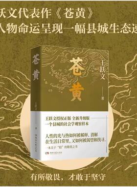 当当网 苍黄（王蒙、莫言、韩少功等著名作家联袂推荐！） 王跃文 湖南文艺出版社 正版书籍