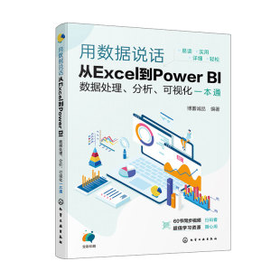 分析 可视化一本通 轻松搞定数据分析 从Excel到Power Excel及PowerBI入门参考书籍 BI联合 BI数据处理 Power 用数据说话 Excel