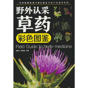 野外認采草藥彩色圖鑒 實用植物識別手冊讓您足不出戶認清中草藥 16開四色印刷