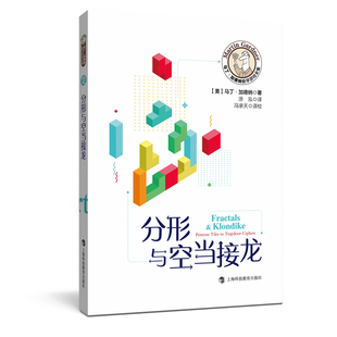 马丁·加德纳数学游戏全集：分形与空当接龙