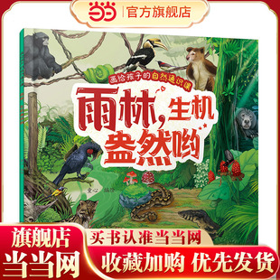 画给孩子的自然通识课 雨林 生机盎然哟 低龄儿童原创通识趣味科普书籍  雨林自然环境雨林动植物图文科普 地理环境自然知识科普书