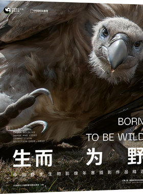 当当网 生而为野 中国国家地理为读者打开崭新的自然视界收获全球生态美景感悟生命的力量讲述自然摄影师与野生生物邂逅共鸣的故事
