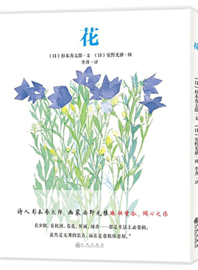 花安野光雅大师精装绘本