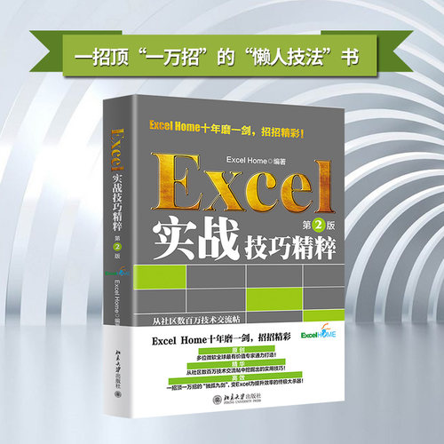 【当当网直营】Excel实战技巧精粹（第2版） ExcelHome出品 函数图表VBA数据分析技法宝典 北京大学出版社 正版书籍