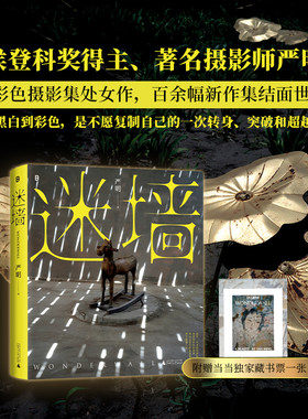 迷墙（侯登科奖得主、著名摄影师严明彩色摄影集，百余幅新作集结面世！黑白到彩色，是不愿复制自己的一次转身、突破和超越！）