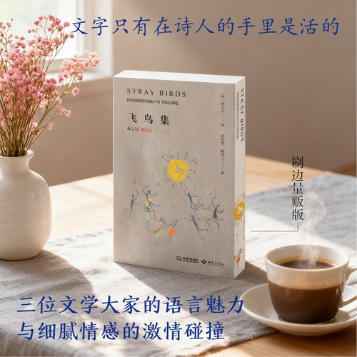 飞鸟集：英文诗 现代诗 五言古诗（量贩版）